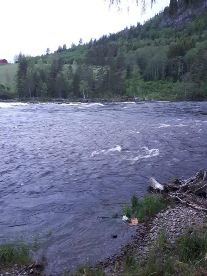 Fossekroa Svarstad  المظهر الخارجي الصورة